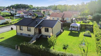 Bild av trädgården