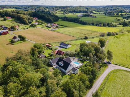 Bild av trädgården