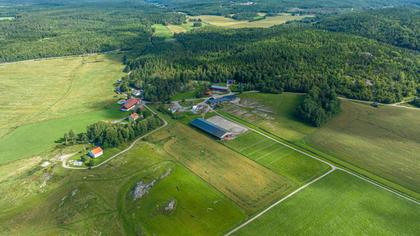 Bild av trädgården