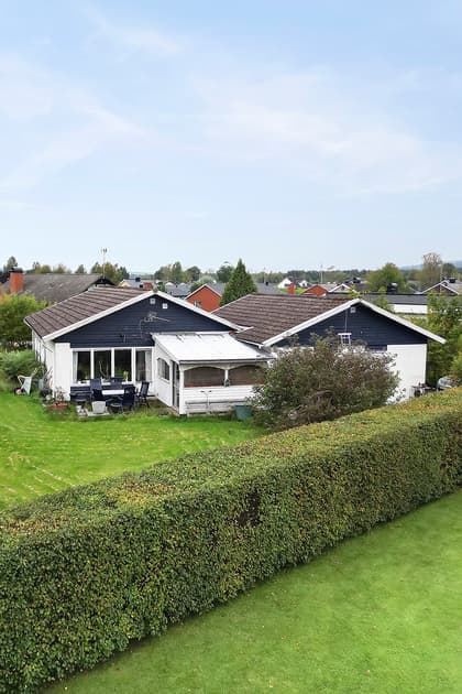 Bild av trädgården