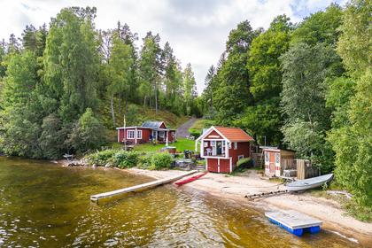 Bild av trädgården