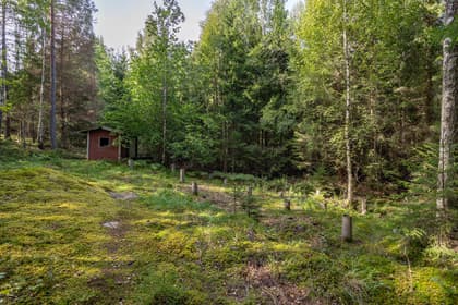 Bild av trädgården