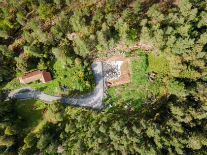 Bild av trädgården