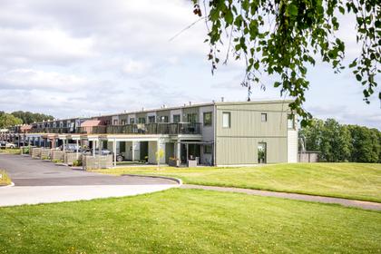 Bild av trädgården