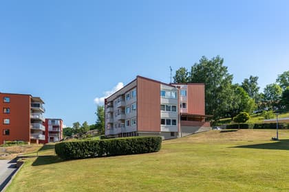 Bild av trädgården