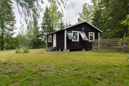 Bild av trädgården