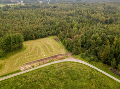 Bild av trädgården