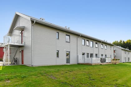 Bild av trädgården