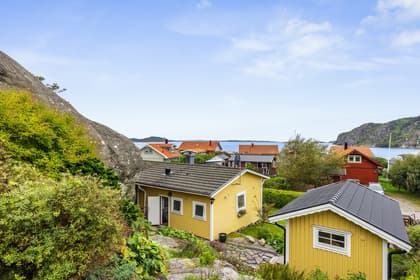 Bild av trädgården