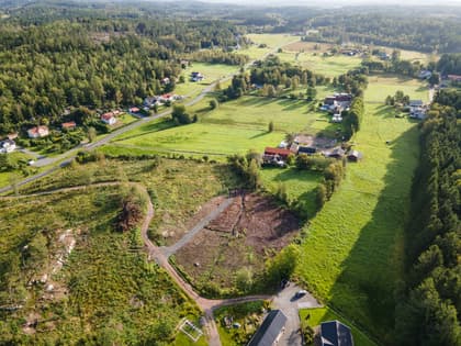 Bild av trädgården