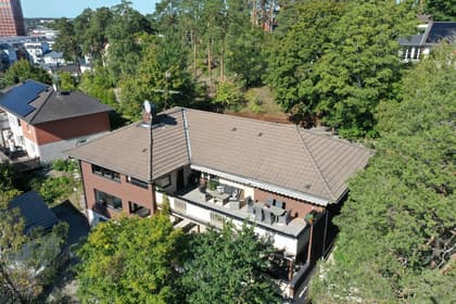 Bild av trädgården