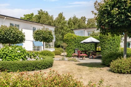 Bild av trädgården