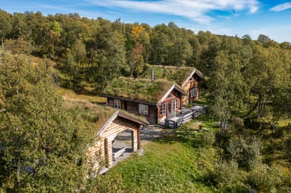 Bild av trädgården