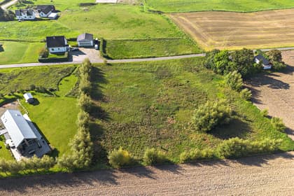 Bild av trädgården