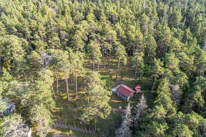 Bild av trädgården