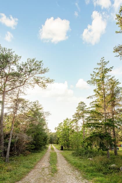 Bild av trädgården