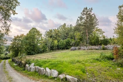 Bild av trädgården