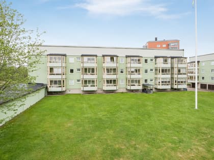 Bild av trädgården