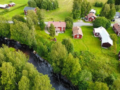 Bild av trädgården