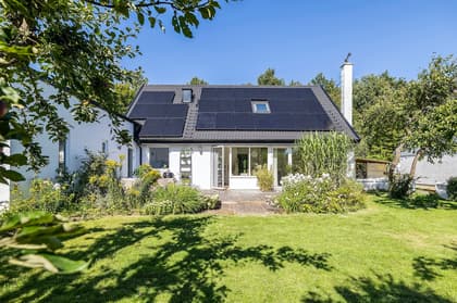 Bild av trädgården