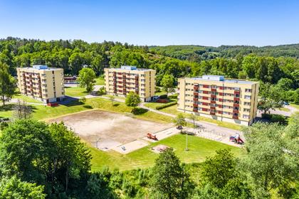 Bild av trädgården
