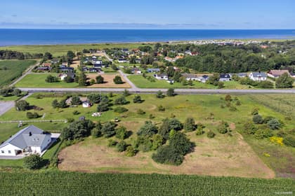 Bild av trädgården