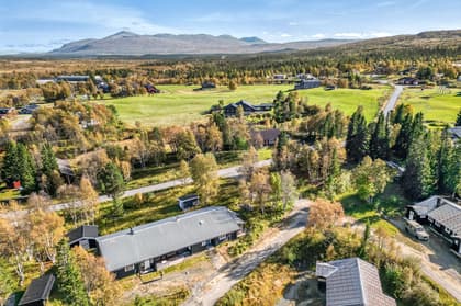 Bild av trädgården