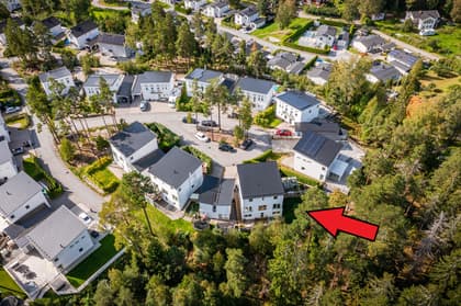 Bild av trädgården