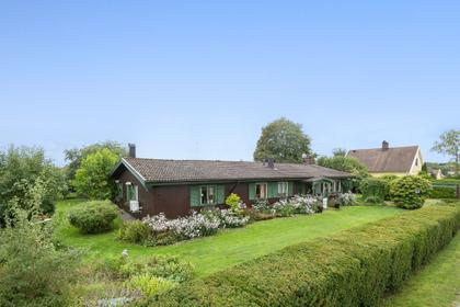 Bild av trädgården