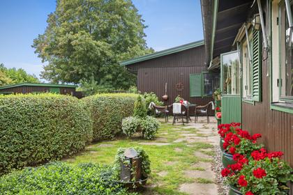 Bild av trädgården