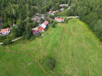 Bild av trädgården