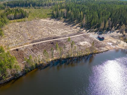 Bild av trädgården