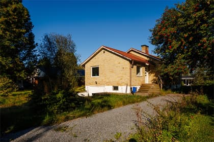 Bild av trädgården