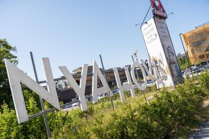 Bild av trädgården