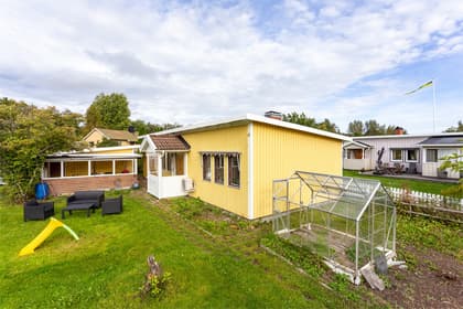 Bild av trädgården