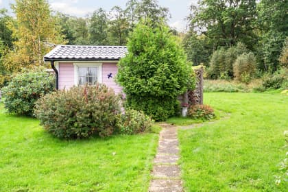 Bild av trädgården