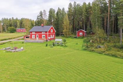 Bild av trädgården