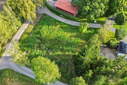 Bild av trädgården