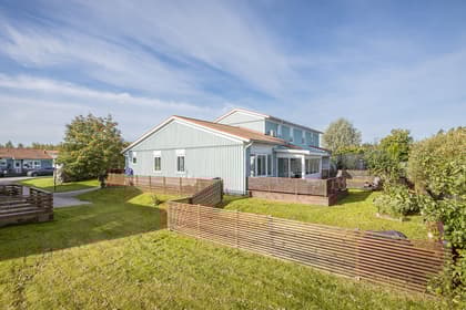 Bild av trädgården