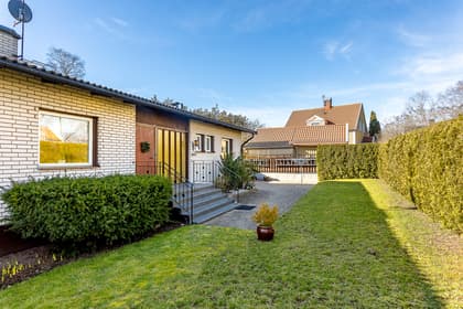 Bild av trädgården