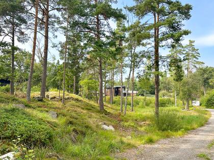 Bild av trädgården
