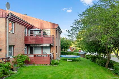 Bild av trädgården