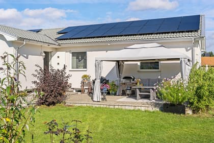 Bild av trädgården