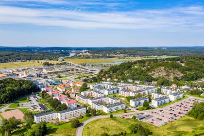 Bild av trädgården