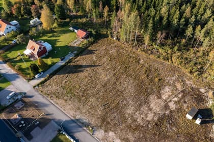 Bild av trädgården