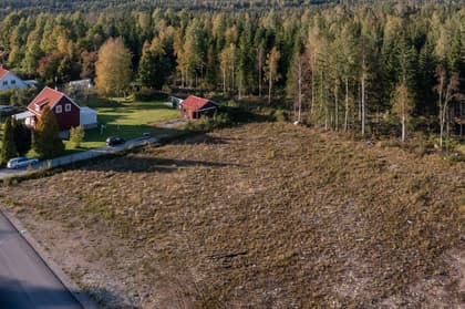 Bild av trädgården