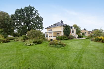 Bild av trädgården