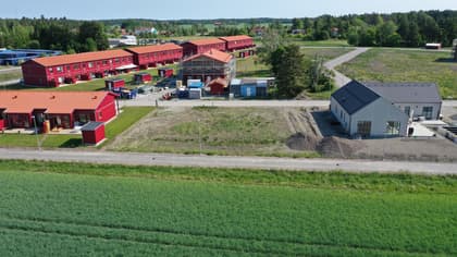 Bild av trädgården