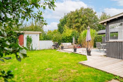 Bild av trädgården