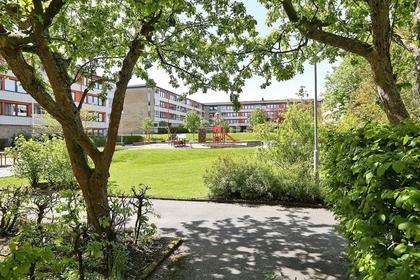 Bild av trädgården